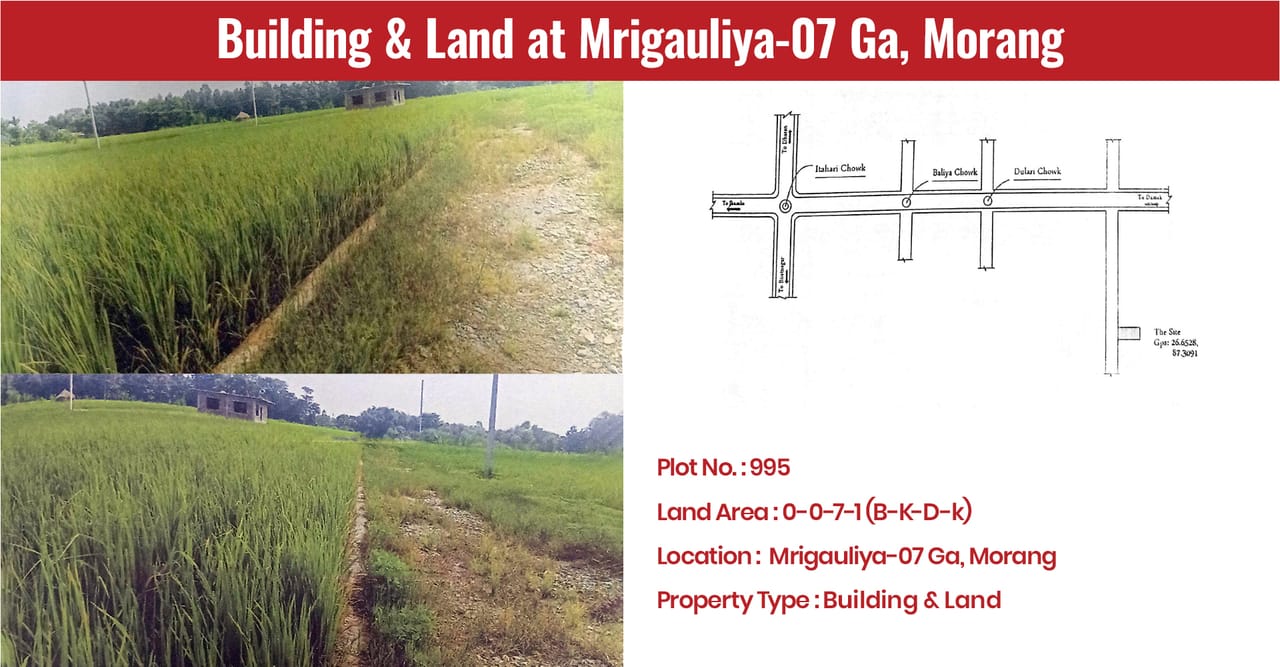 Building & Land at Mrigauliya-07 Ga, Morang