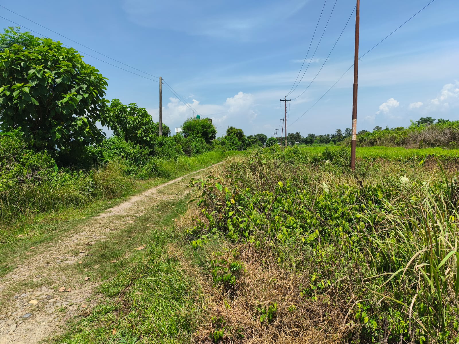 Land at GAIDAKOT MUNICIPALITY, NAWALPARASI EAST
