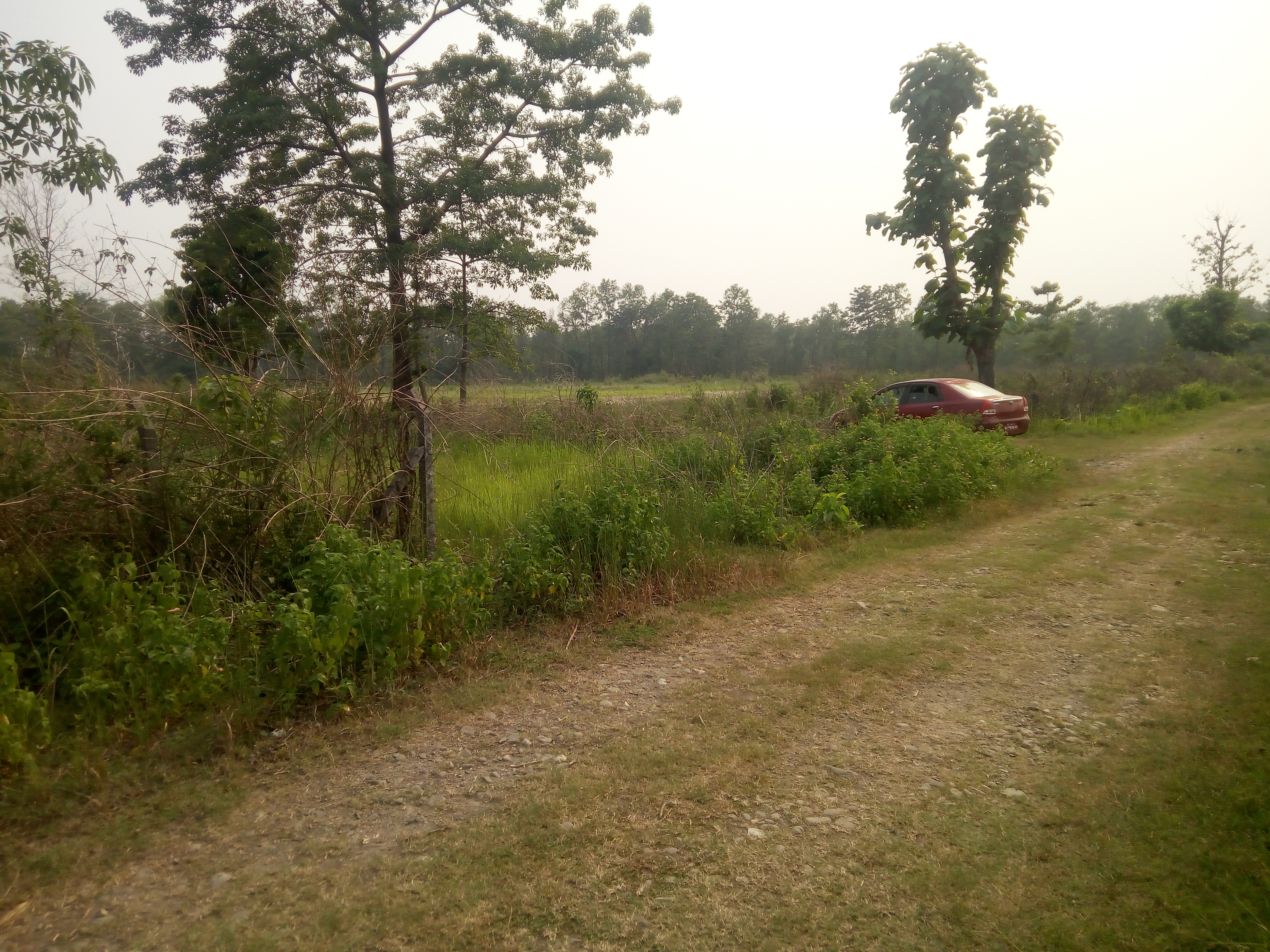 Land at GAIDAKOT MUNICIPALITY, NAWALPARASI EAST