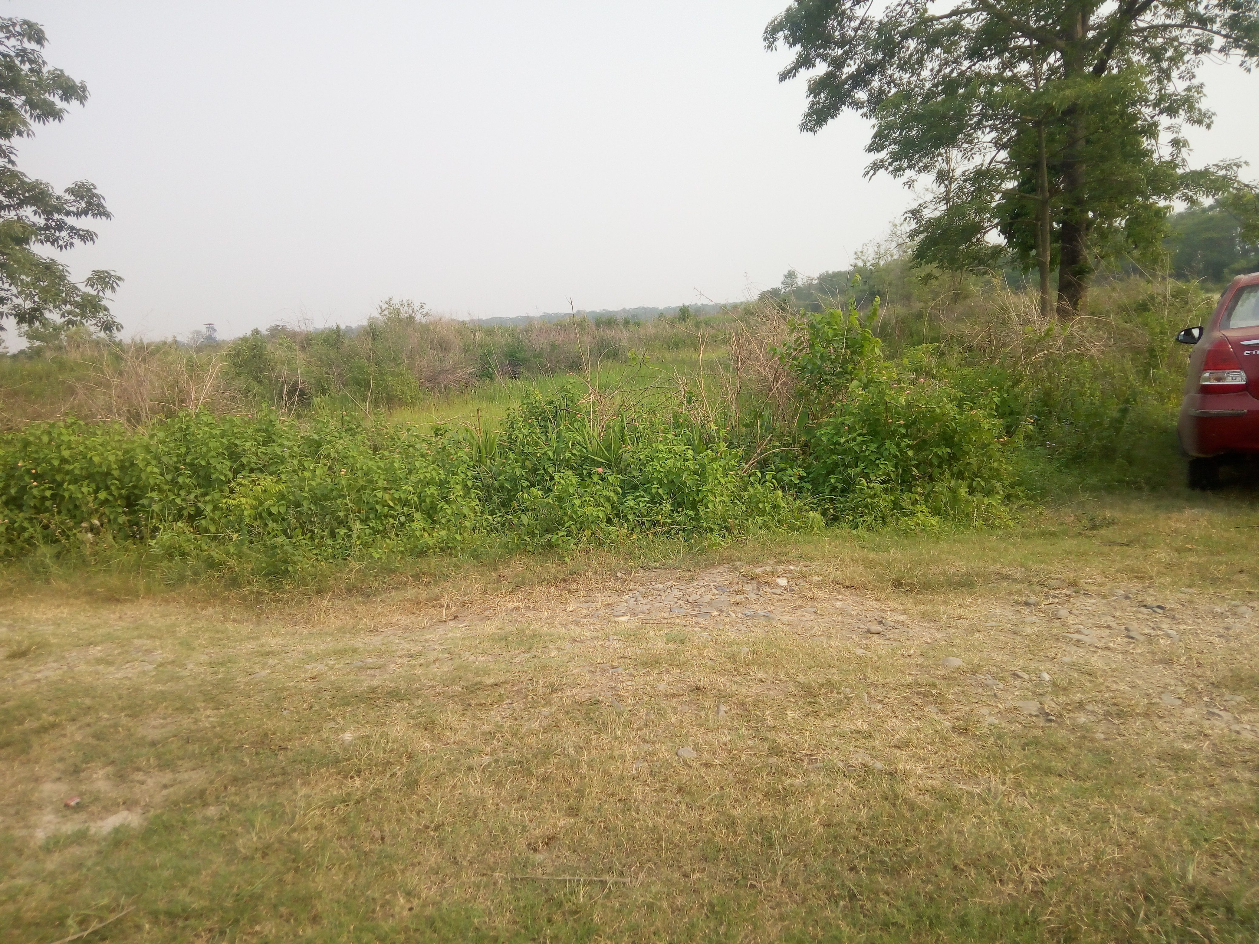 Land at GAIDAKOT MUNICIPALITY, NAWALPARASI EAST