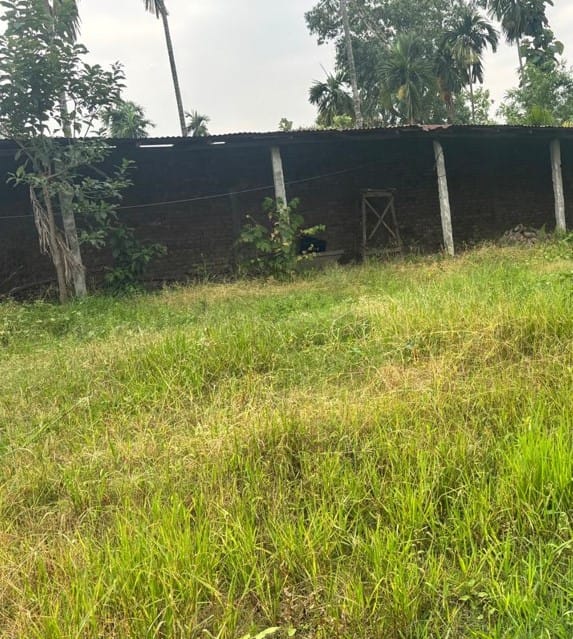 Land at BHADRAPUR MUNICIPALITY, JHAPA (PA-00000000000000001397) - Image 4