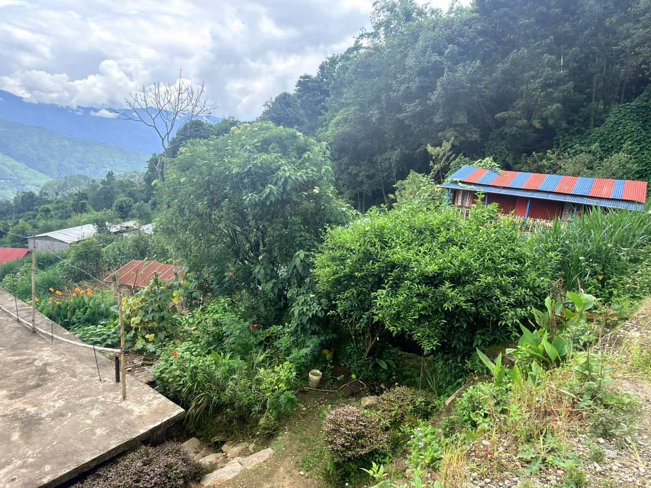 Land at BHIMESHWOR MUNICIPALITY, DOLAKHA (PA-00000000000000006715) - Image 8