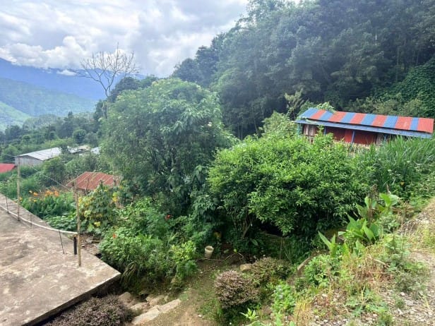 Land at BHIMESHWOR MUNICIPALITY, DOLAKHA (PA-00000000000000006715) - Image 3