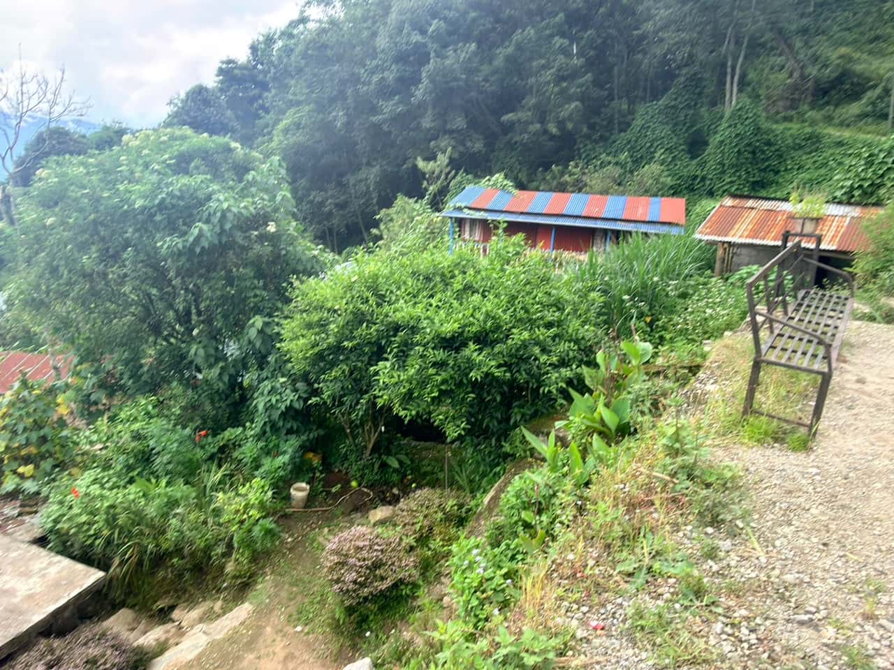 Land at BHIMESHWOR MUNICIPALITY, DOLAKHA (PA-00000000000000006715) - Image 9