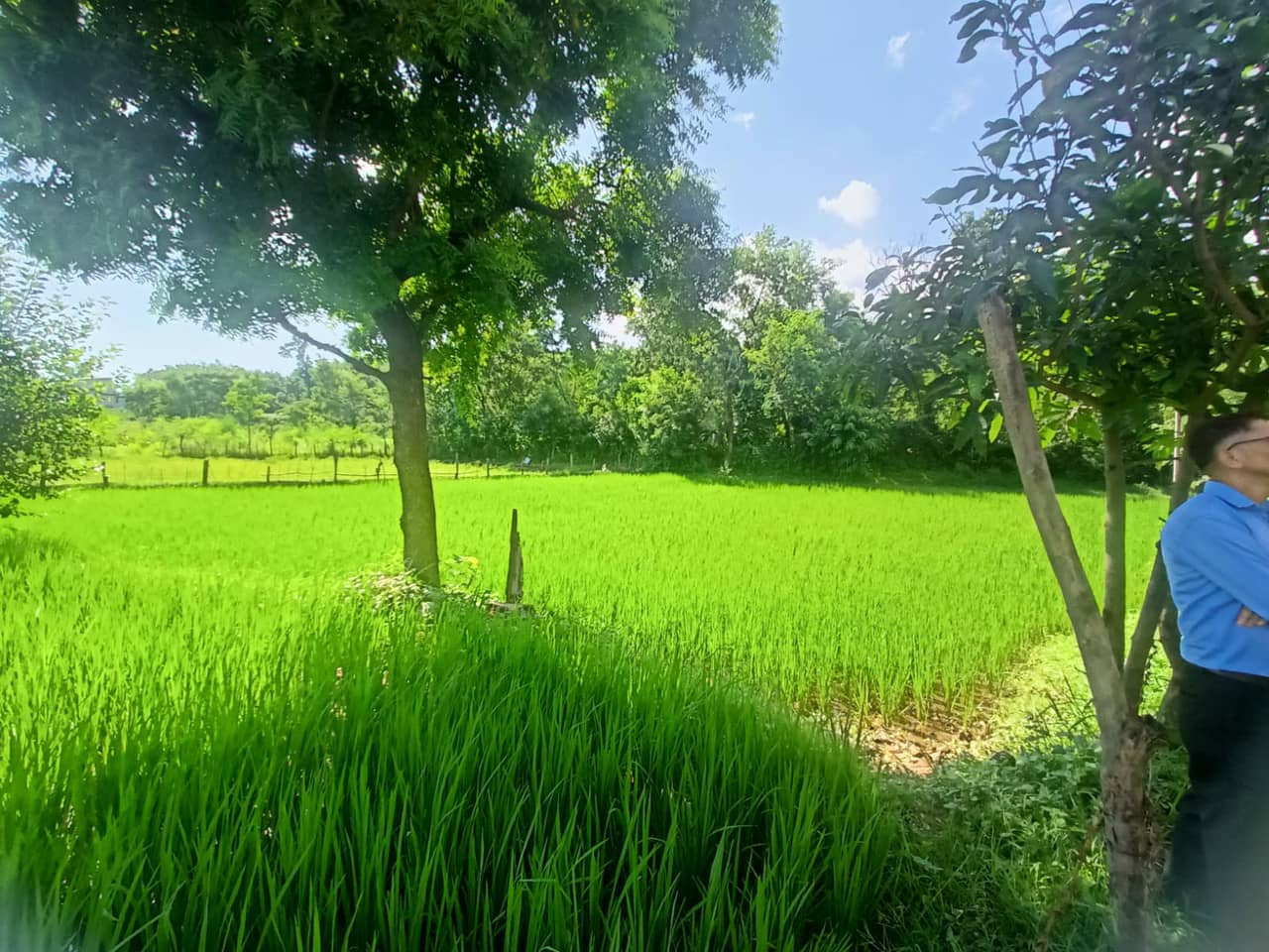 Land at BUTWAL SUB-METROPOLITIAN CITY, RUPANDEHI (PA-00000000000000006843) - Image 3