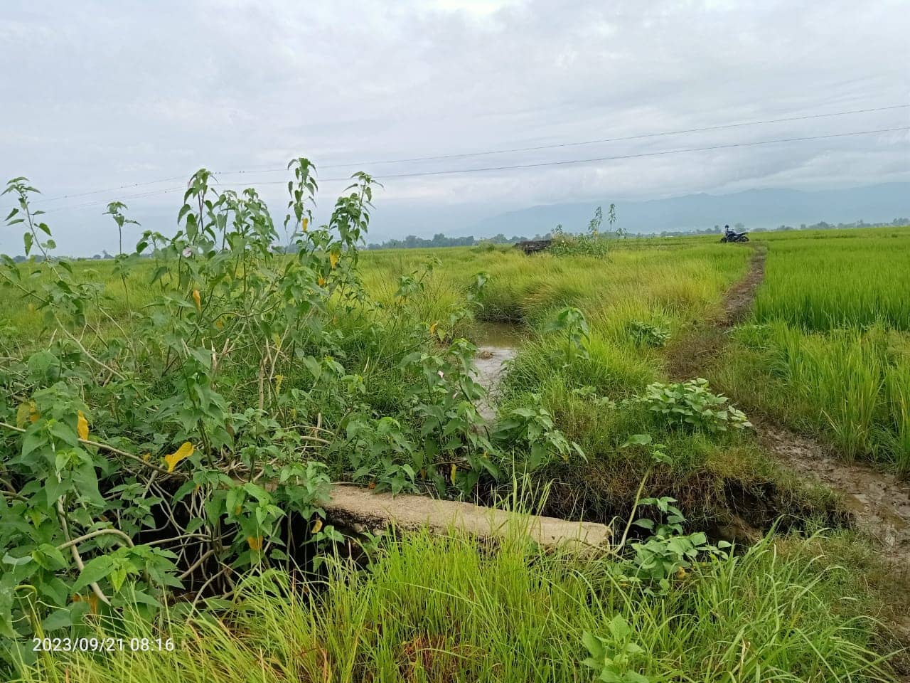 Land at SUDHDHODHAN RURAL MUNICIPALITY, RUPANDEHI (PA-00000000000000000262) - Image 6
