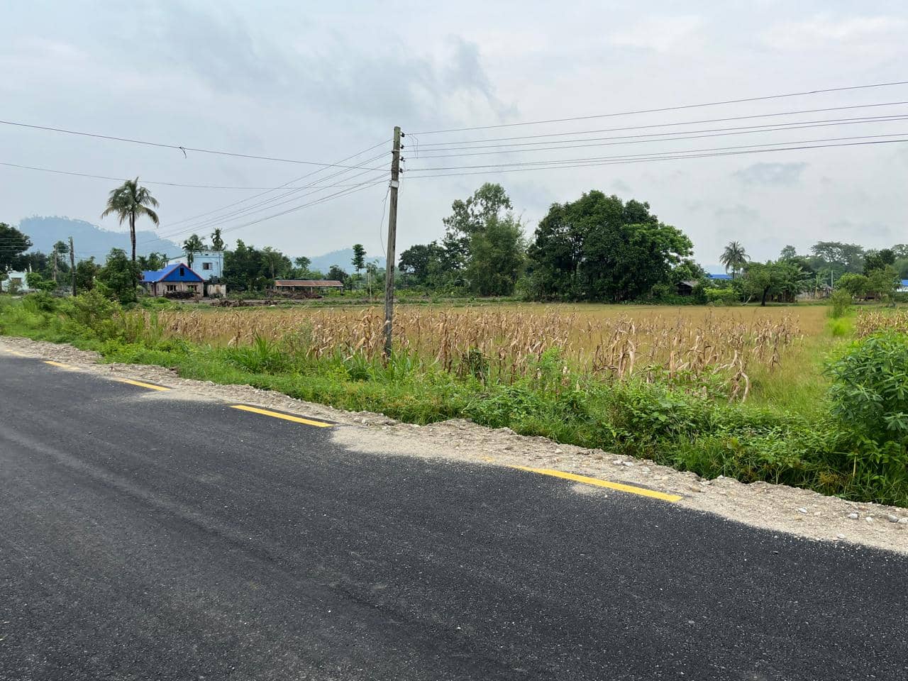 Land at SHIVASATAXI MUNICIPALITY, JHAPA (PA-00000000000000006539)