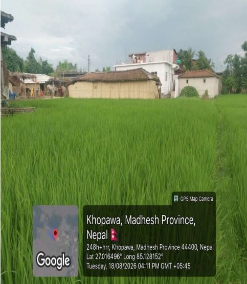 Land and Building at BARAGADHI RURAL MUNICIPALITY, BARA (PA-00000000000000006716) - Image 3
