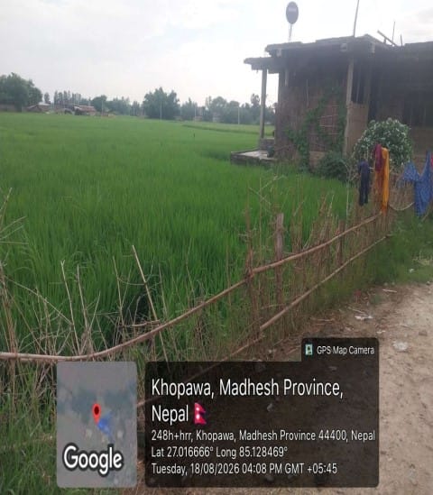 Land and Building at BARAGADHI RURAL MUNICIPALITY, BARA (PA-00000000000000006716) - Image 2