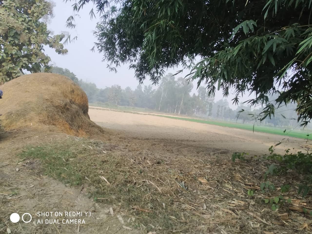 Land at BHANGAHA MUNICIPALITY, MAHOTARI (PA-00000000000000002488)
