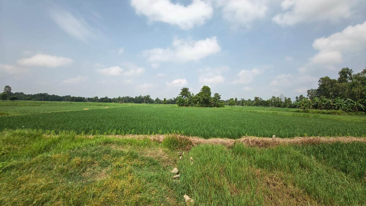 Land at BRAMHAPURI RURAL MUNICIPALITY, SARLAHI (PA-00000000000000006549) - Image 5