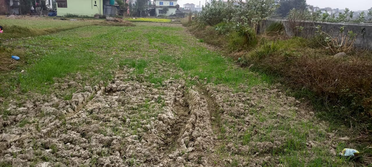 Land at RAMDHUNI MUNICIPALITY, SUNASARI (PA-00000000000000006172) - Image 4