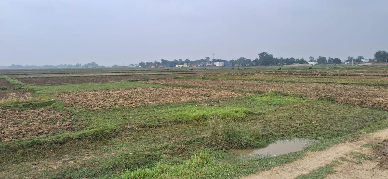 Land at MAHARAJGUNJ MUNICIPALITY, KAPILBASTU (PA-00000000000000006870)