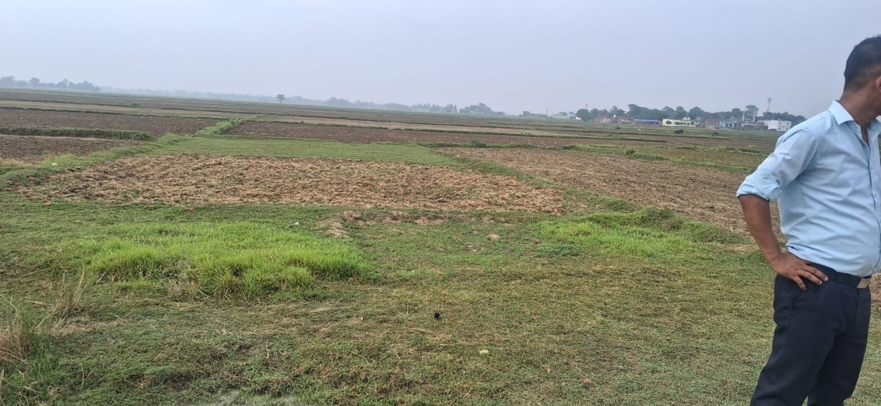 Land at MAHARAJGUNJ MUNICIPALITY, KAPILBASTU (PA-00000000000000006870) - Image 2