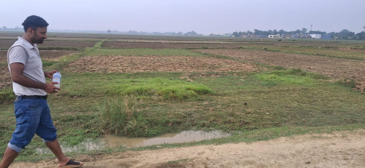 Land at MAHARAJGUNJ MUNICIPALITY, KAPILBASTU (PA-00000000000000006870) - Image 3