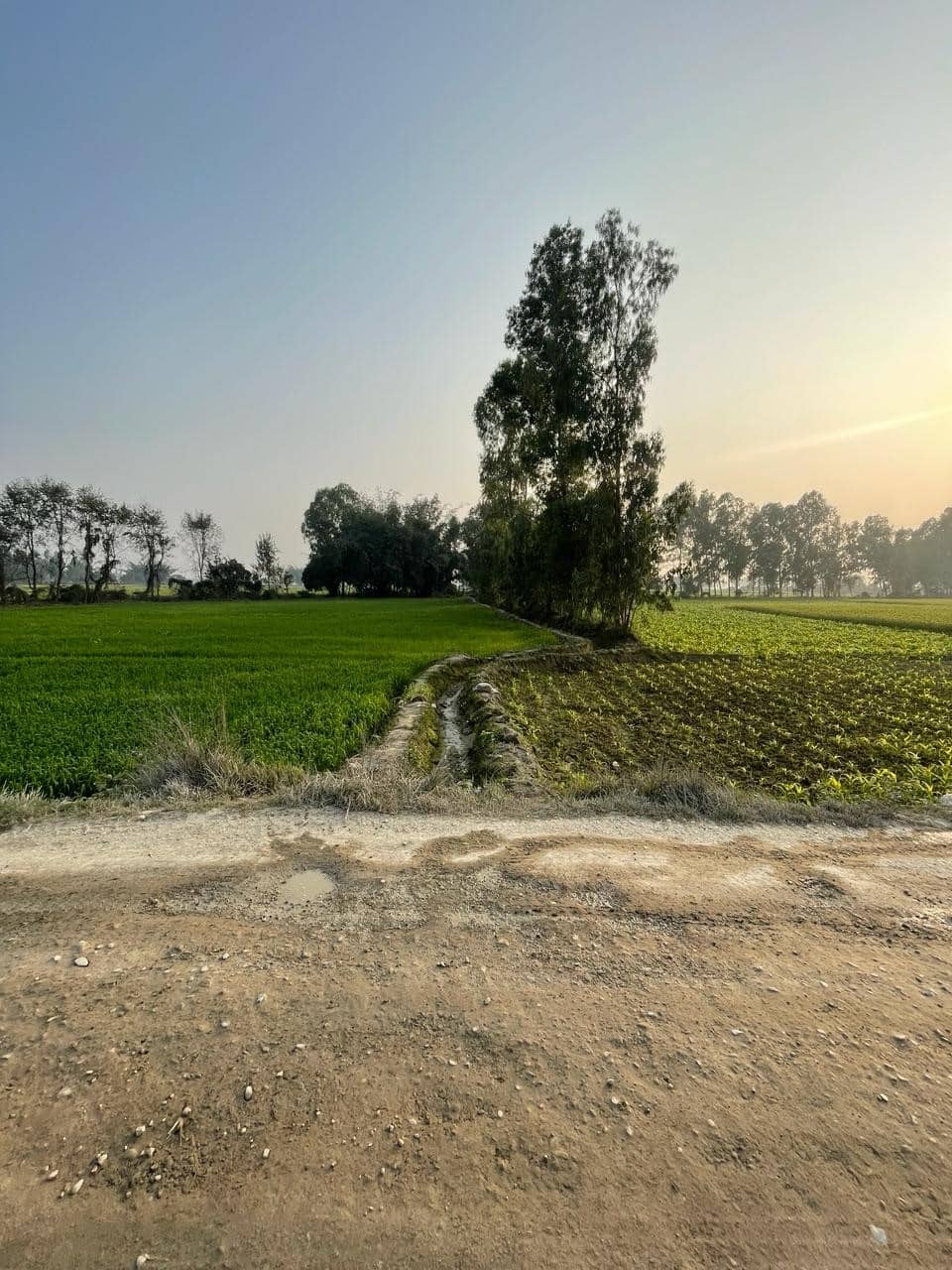 Land at CHANDRAPUR MUNICIPALITY, RAUTAHAT (PA-00000000000000000301) - Image 9