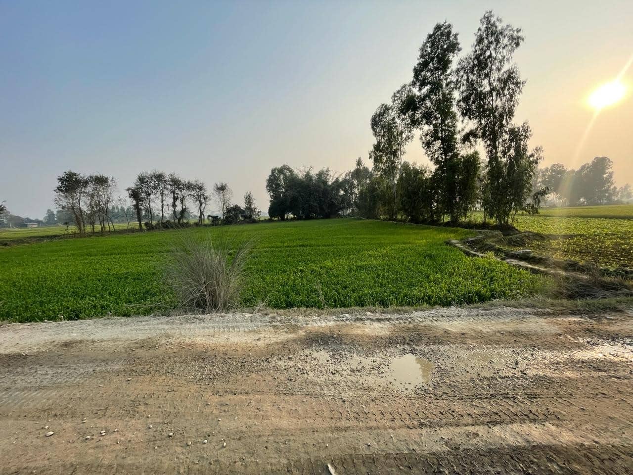 Land at CHANDRAPUR MUNICIPALITY, RAUTAHAT (PA-00000000000000000301) - Image 1