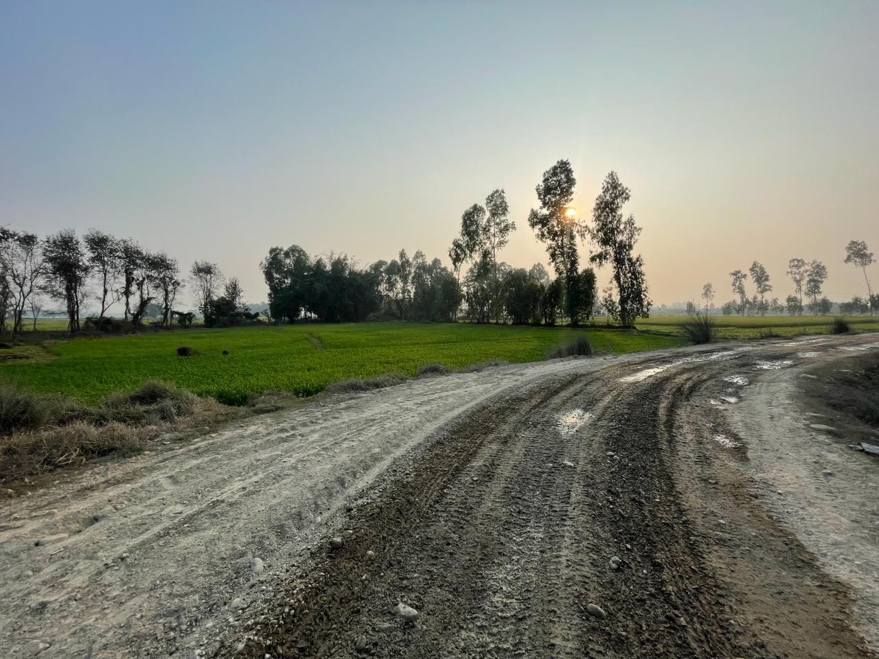 Land at CHANDRAPUR MUNICIPALITY, RAUTAHAT (PA-00000000000000000301) - Image 7