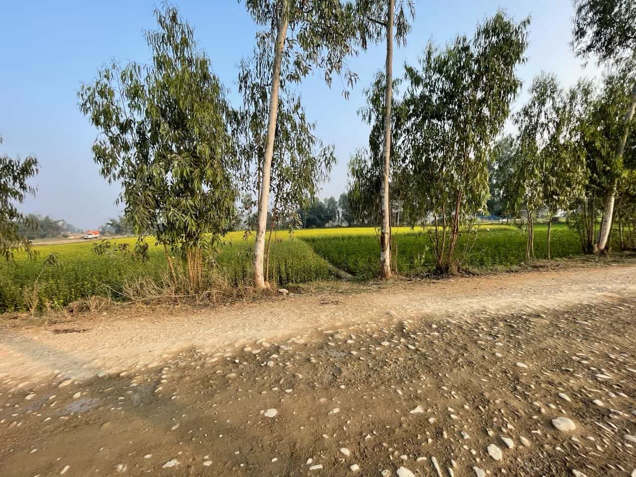 Land at CHANDRAPUR MUNICIPALITY, RAUTAHAT (PA-00000000000000000301) - Image 13