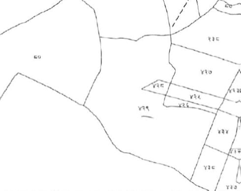 Land at MAHALAXMI MUNICIPALITY, LALITPUR (PA-00000000000000000329) - Image 3
