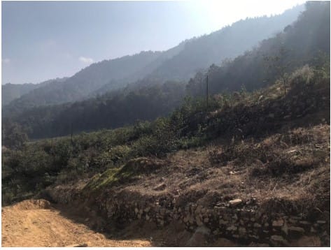 Land at MAHALAXMI MUNICIPALITY, LALITPUR (PA-00000000000000000329) - Image 4