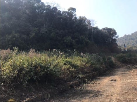 Land at MAHALAXMI MUNICIPALITY, LALITPUR (PA-00000000000000000329) - Image 5