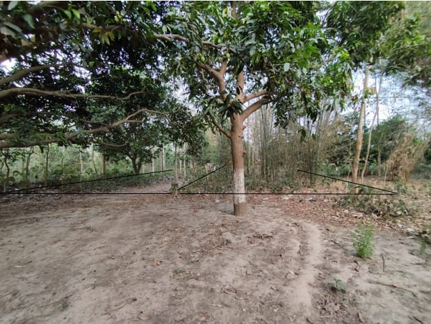 Land at AURAHI MUNICIPALITY, MAHOTARI (PA-00000000000000005879)