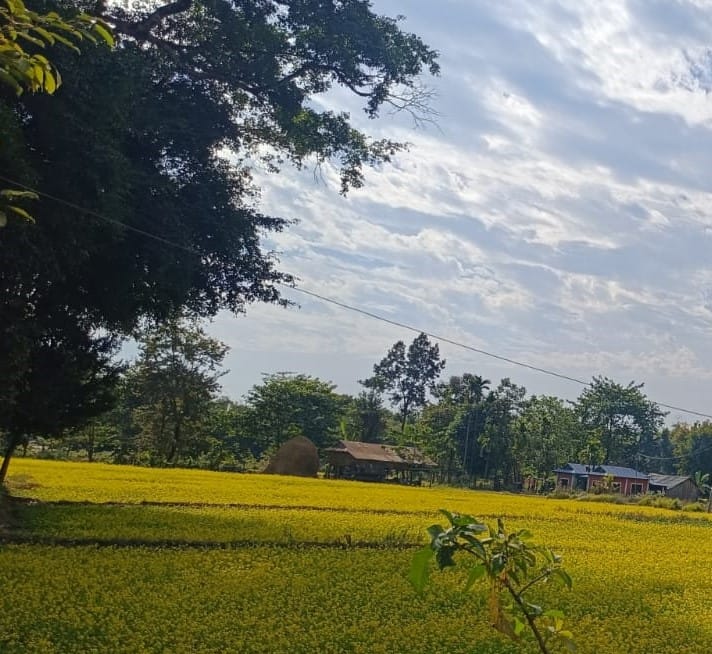 Land at CHULACHULI RURAL MUNICIPALITY, ILAM (PA-00000000000000005041)