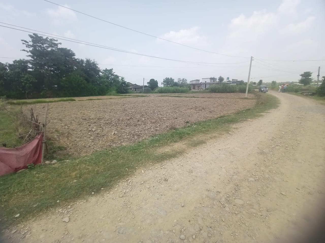 Land at BANGANGA MUNICIPALITY, KAPILBASTU (PA-00000000000000006865) - Image 3