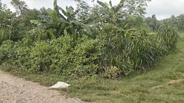 Land at BARAHATHAWA MUNICIPALITY, SARLAHI (PA-00000000000000006705)
