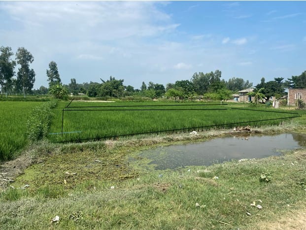 Land at RAMGOPALPUR MUNICIPALITY, MAHOTARI (PA-00000000000000006842) - Image 3
