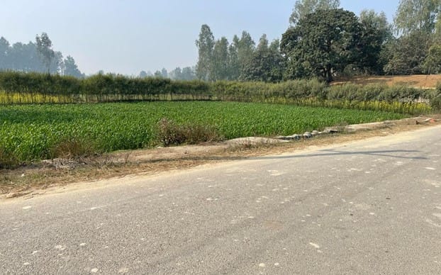 Land at MALANGAWA MUNICIPALITY, SARLAHI (PA-00000000000000001678)