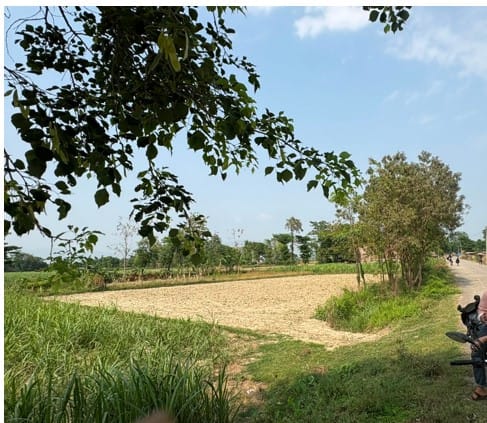 Land at SIDDHARTHANAGAR MUNICIPALITY, RUPANDEHI (PA-00000000000000006656)