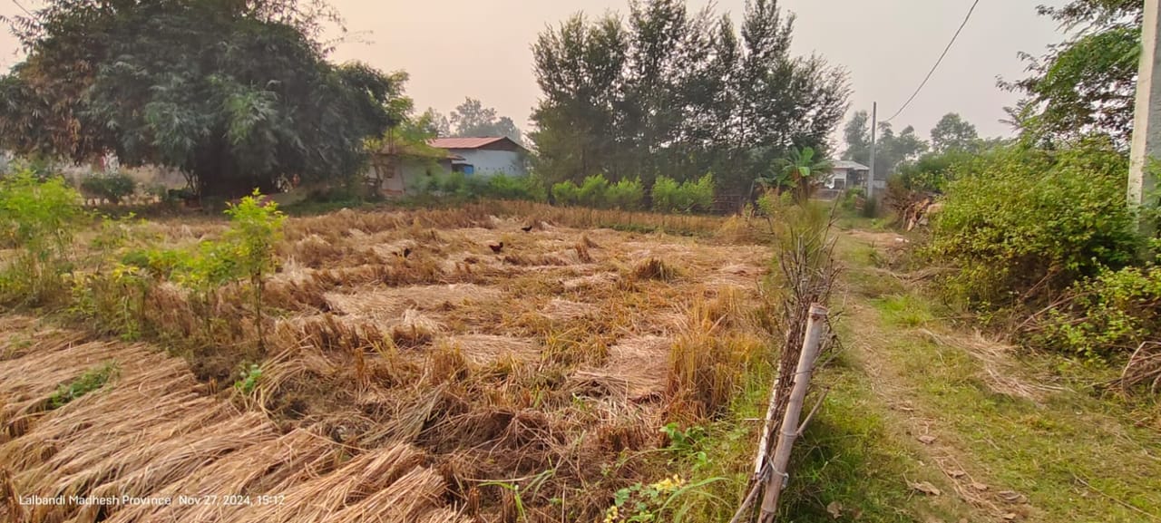 Land at LALBANDI MUNICIPALITY, SARLAHI (PA-00000000000000001527)