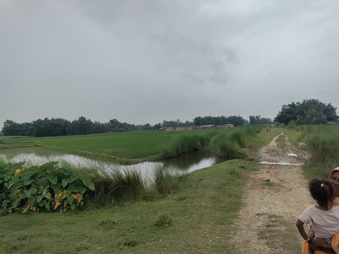 Land at GARUDA MUNICIPALITY, RAUTAHAT (PA-00000000000000006897) - Image 5