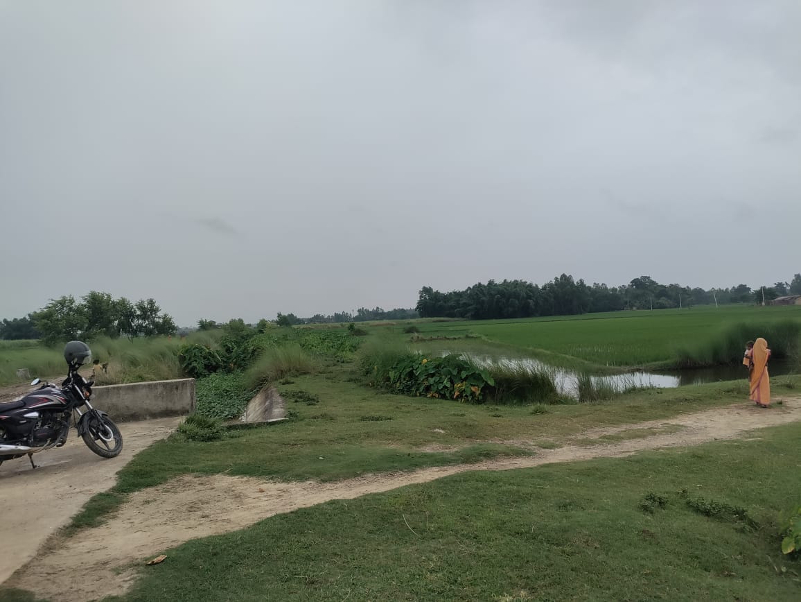 Land at GARUDA MUNICIPALITY, RAUTAHAT (PA-00000000000000006897) - Image 10