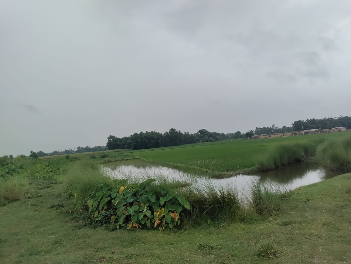 Land at GARUDA MUNICIPALITY, RAUTAHAT (PA-00000000000000006897) - Image 7