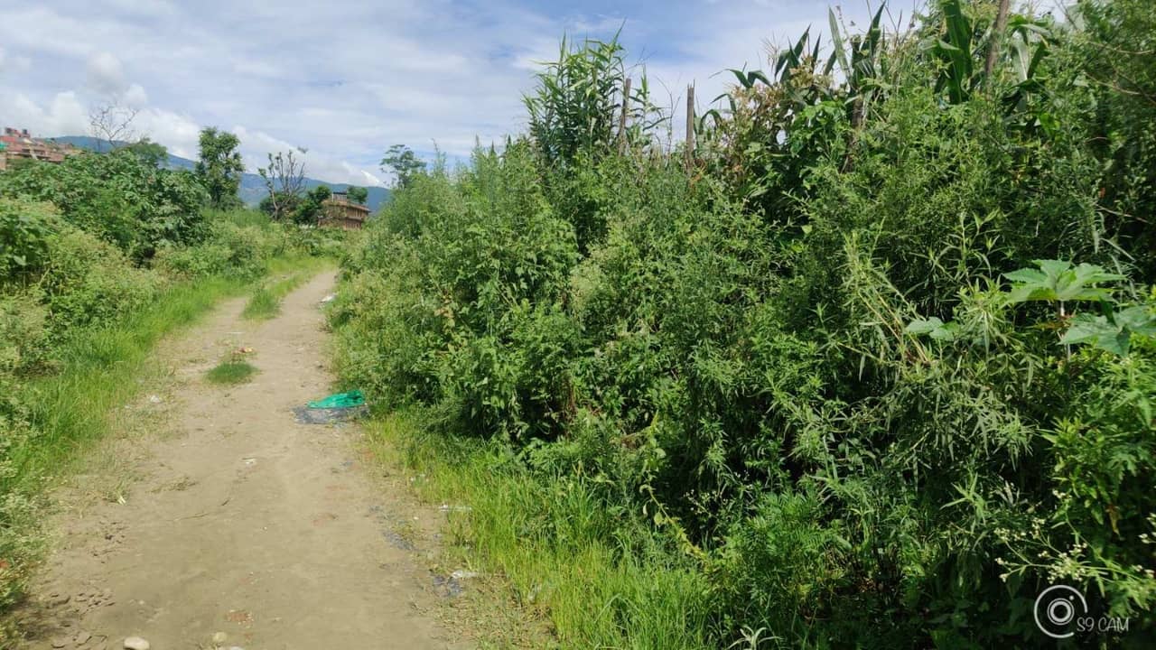 Land at URLABARI MUNICIPALITY, MORANG