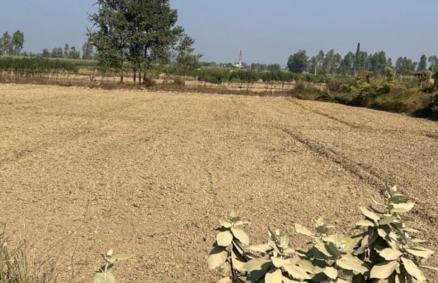 Land at MAHOTTARI RURAL MUNICIPALITY, MAHOTARI (PA-00000000000000006893) - Image 2