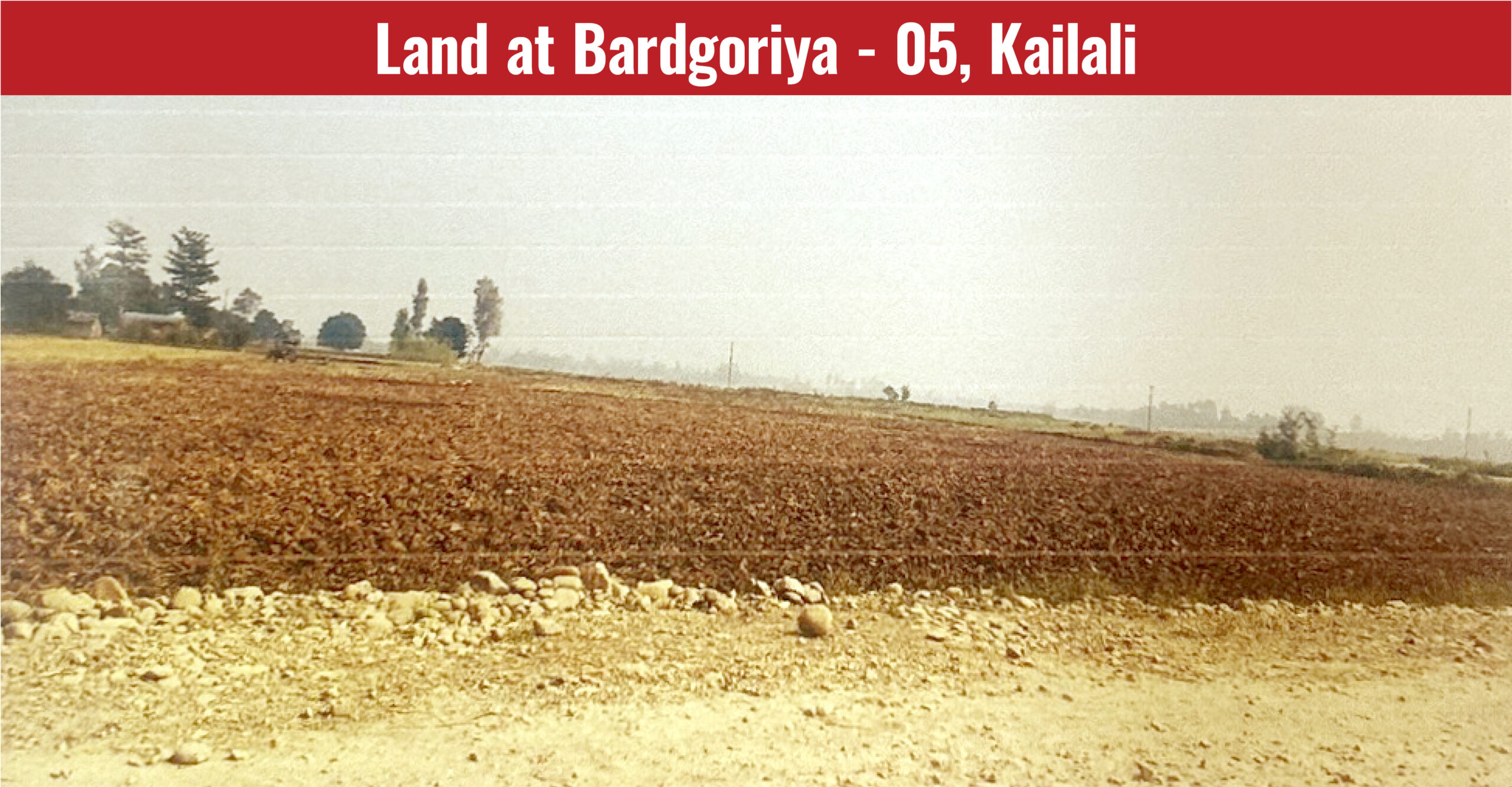 Land at Bardgoriya -05 Kailali