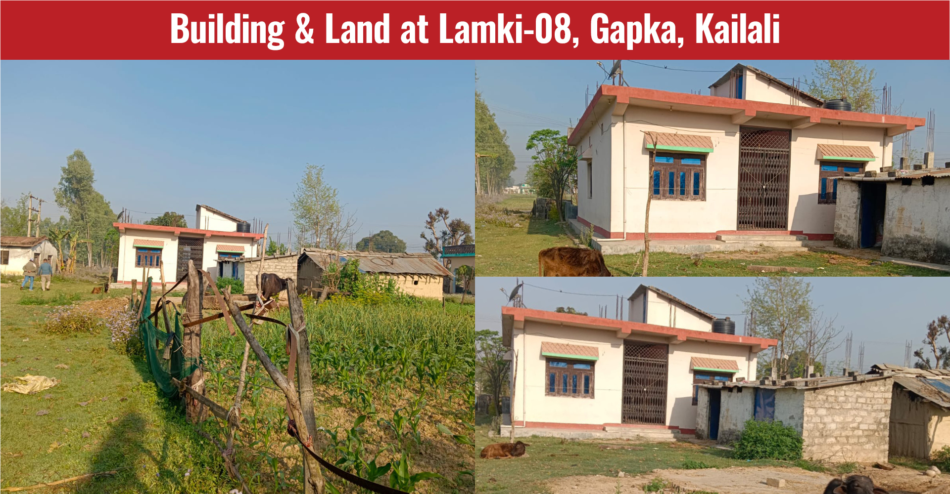 Building & Land at Lamki-08, Gapka, Kailali