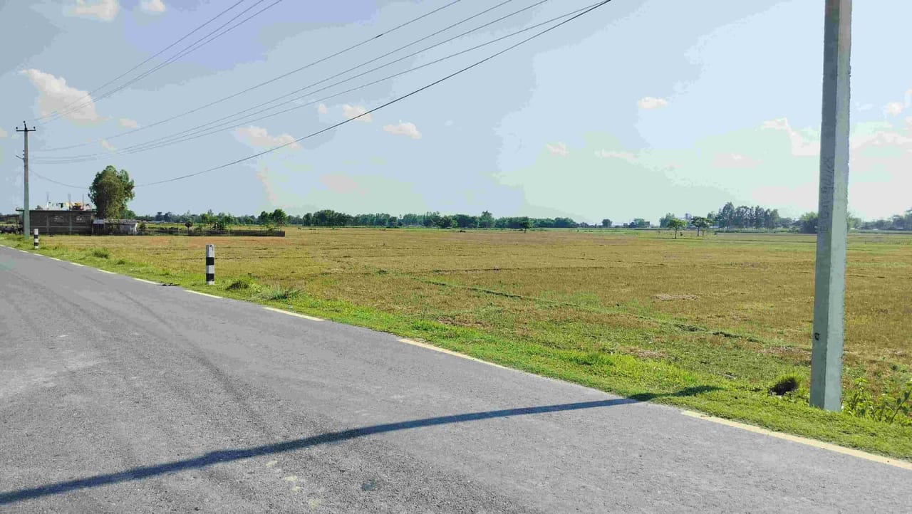 Land at DHANPALTHAN RURAL MUNICIPALITY, MORANG (PA-00000000000000006821) - Image 3