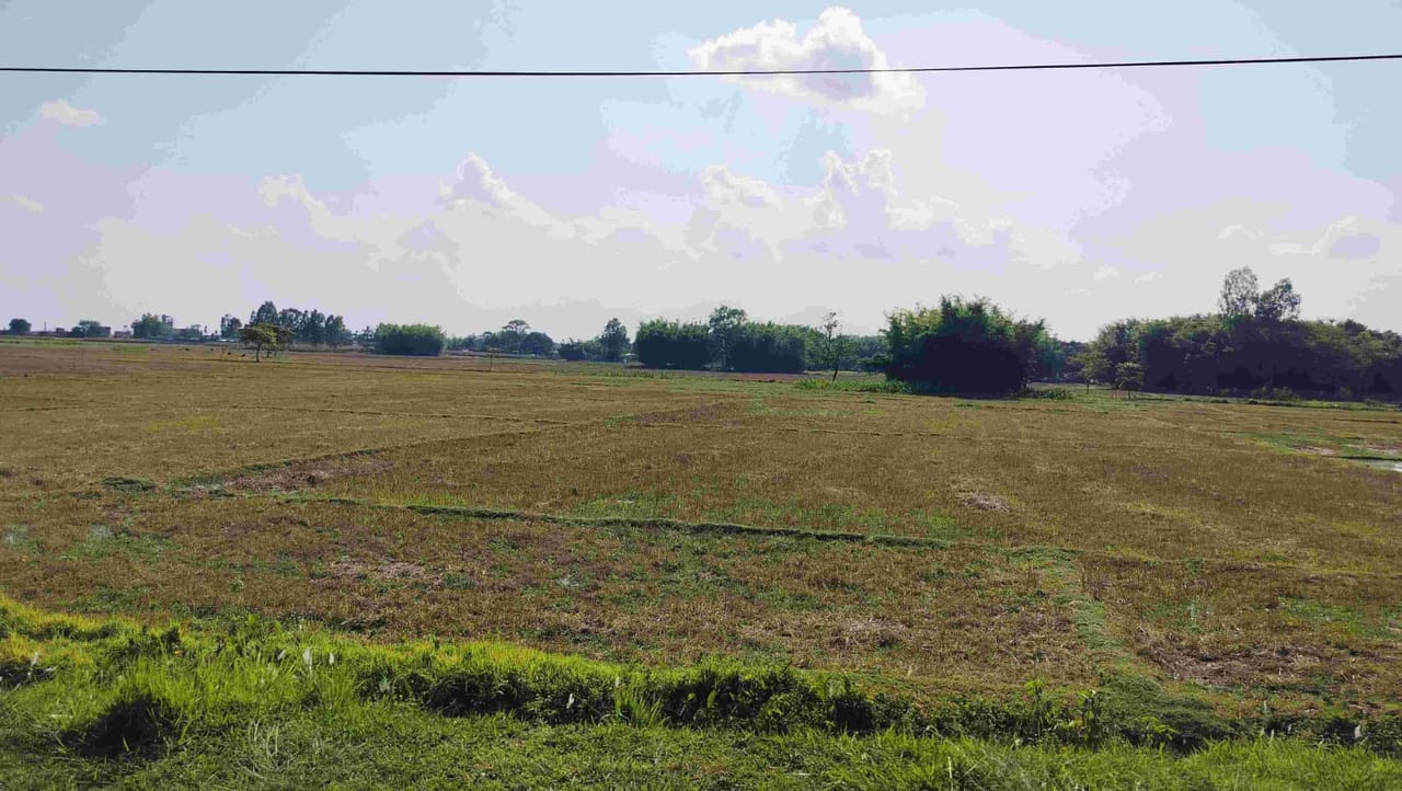 Land at DHANPALTHAN RURAL MUNICIPALITY, MORANG (PA-00000000000000006821) - Image 4