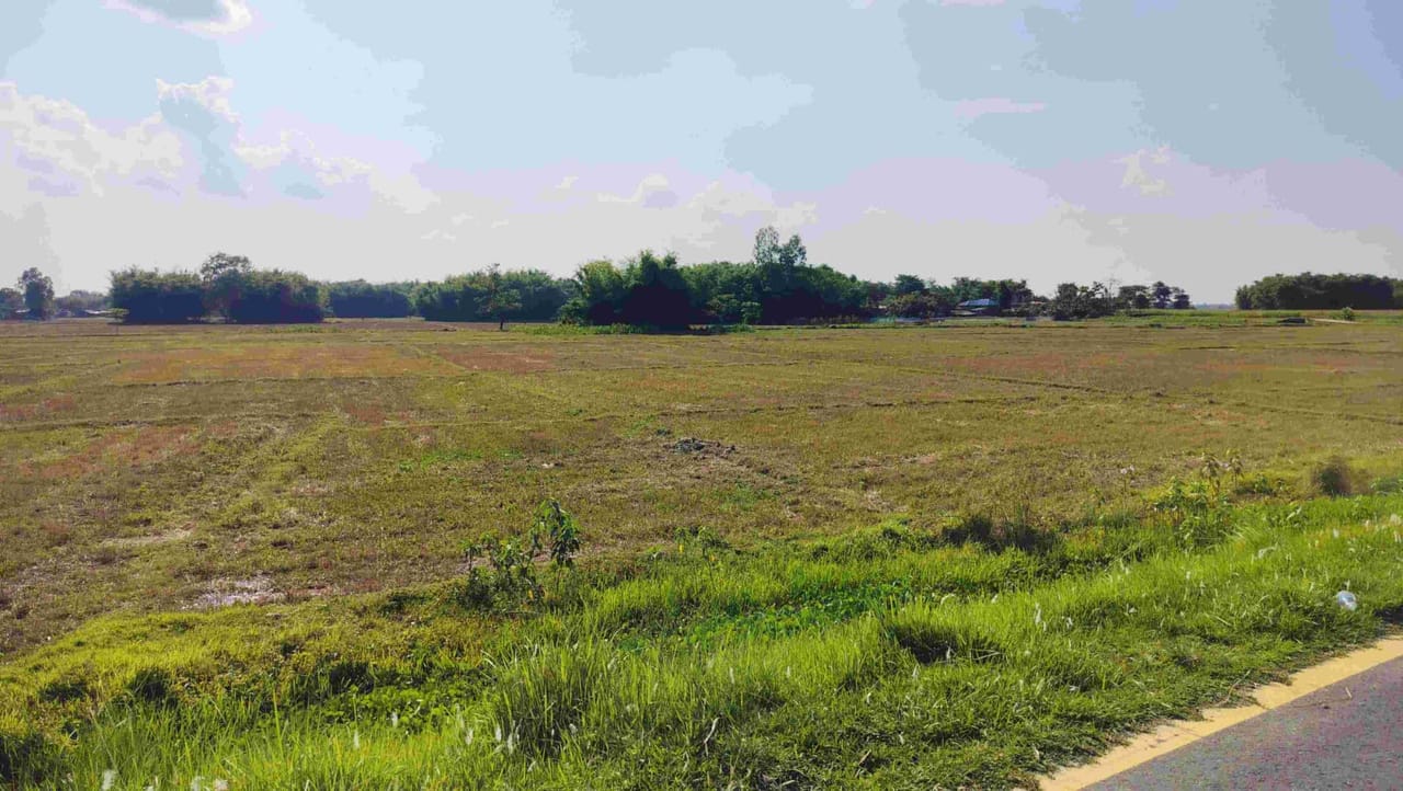 Land at DHANPALTHAN RURAL MUNICIPALITY, MORANG (PA-00000000000000006821) - Image 7
