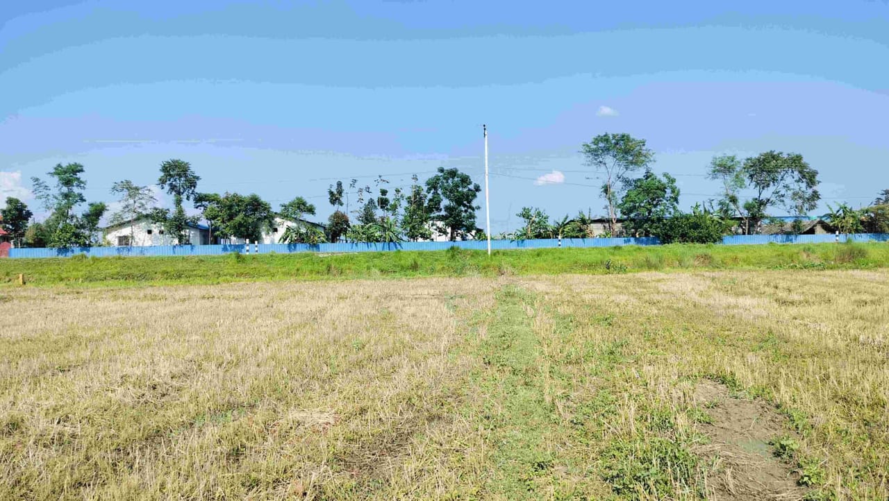 Land at DHANPALTHAN RURAL MUNICIPALITY, MORANG (PA-00000000000000006821) - Image 2
