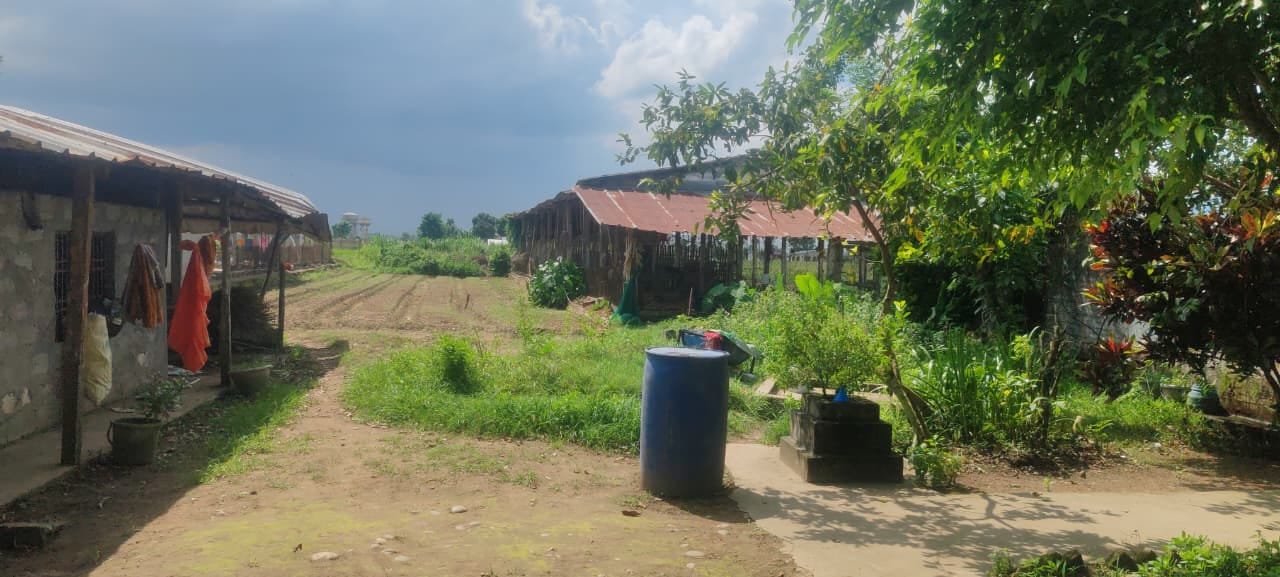 Land at BHARATPUR METROPOLITIAN CITY, CHITAWAN (PA-00000000000000006761) - Image 3
