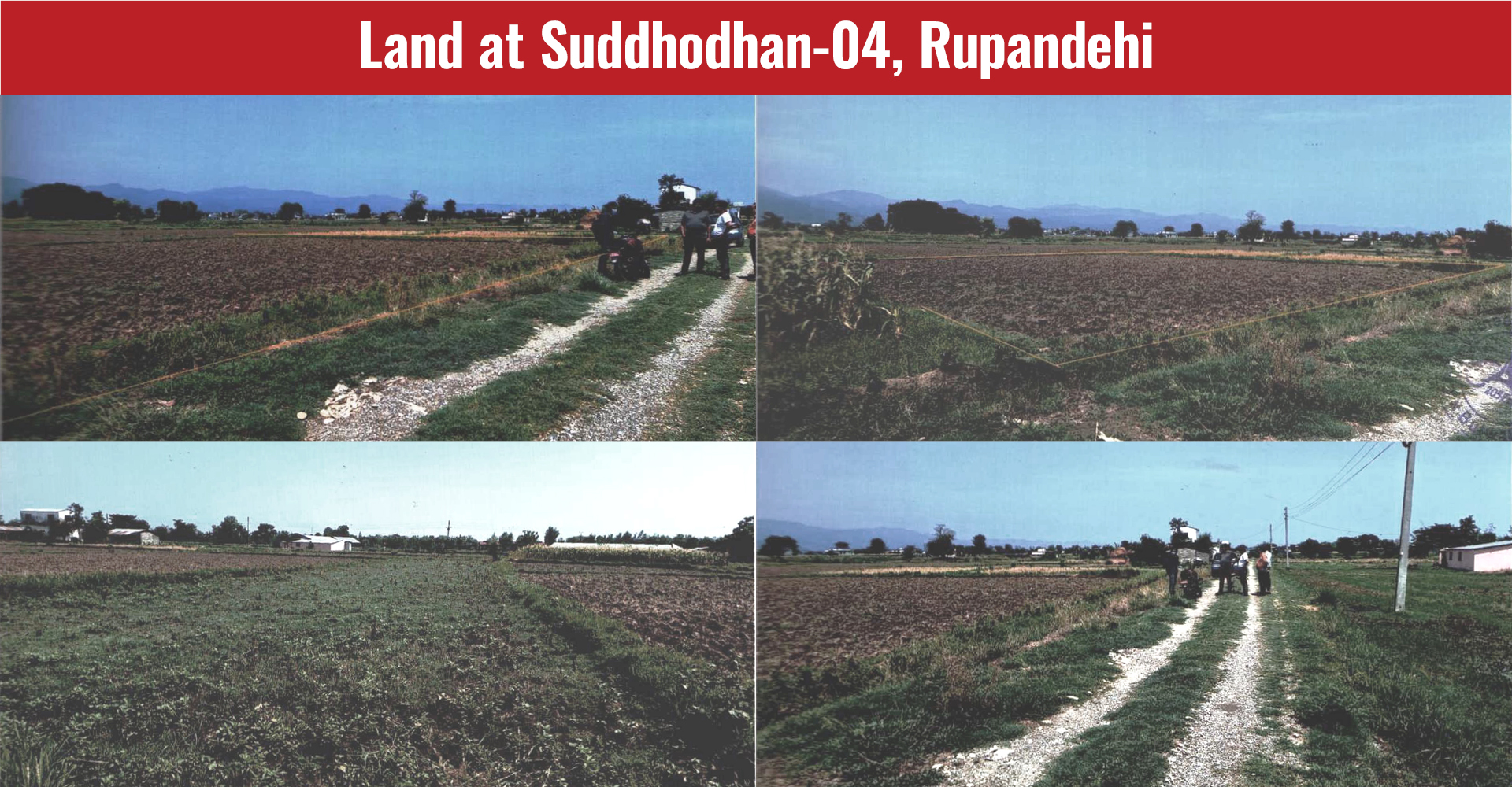 Land at Suddhodhan-04, Rupandehi