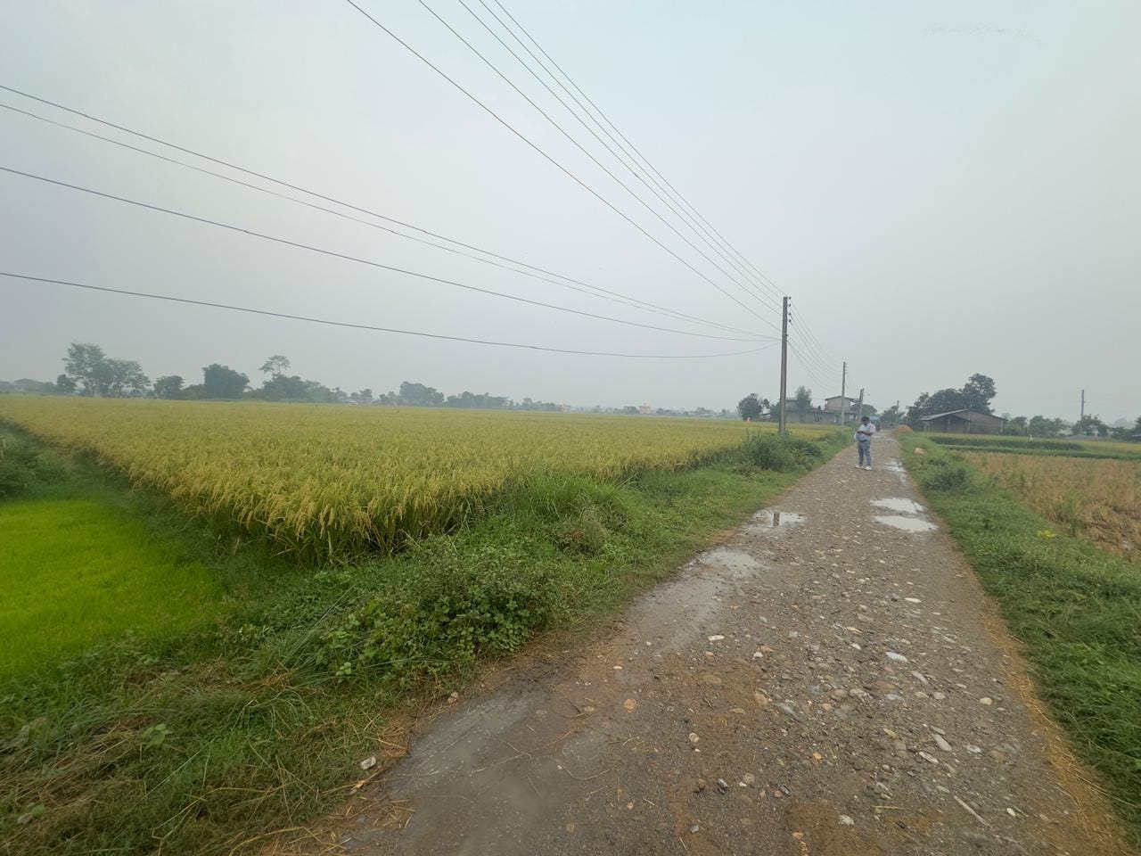 Land at KHAIRAHANI MUNICIPALITY, CHITAWAN (PA-00000000000000002945)