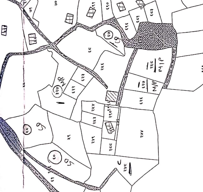 Land at MAHALAXMI MUNICIPALITY, LALITPUR (PA-00000000000000002211) - Image 6