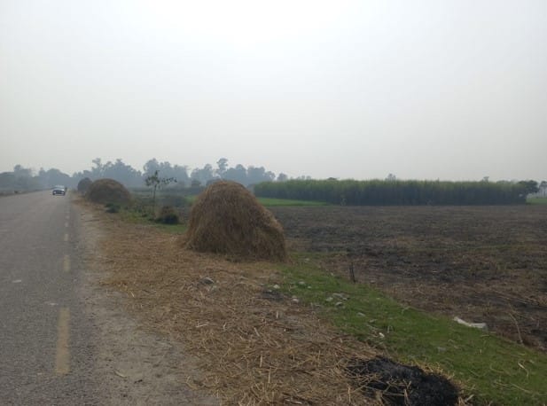 Land at BARAHATHAWA MUNICIPALITY, SARLAHI (PA-00000000000000002517)